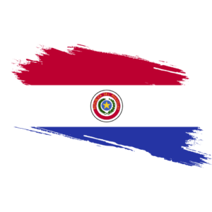 Child Travel Consent Paraguay Contract certification Paraguay Affidavit Paraguay Certified True Copy Paraguay Certified Proof of Address Paraguay Paraguay Certified Ownership Structure Chart Power of attorney and Apostille Paraguay Signature and online content notarization Paraguay