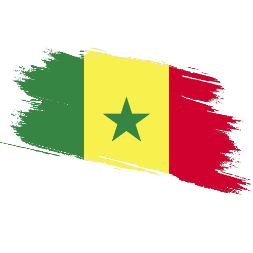 Child Travel Consent Senegal Contract Certification Senegal Affidavit Senegal Certified True Copy Senegal Certified Proof of Address Senegal Senegal Certified Ownership Structure Chart Power of Attorney and Apostille Senegal